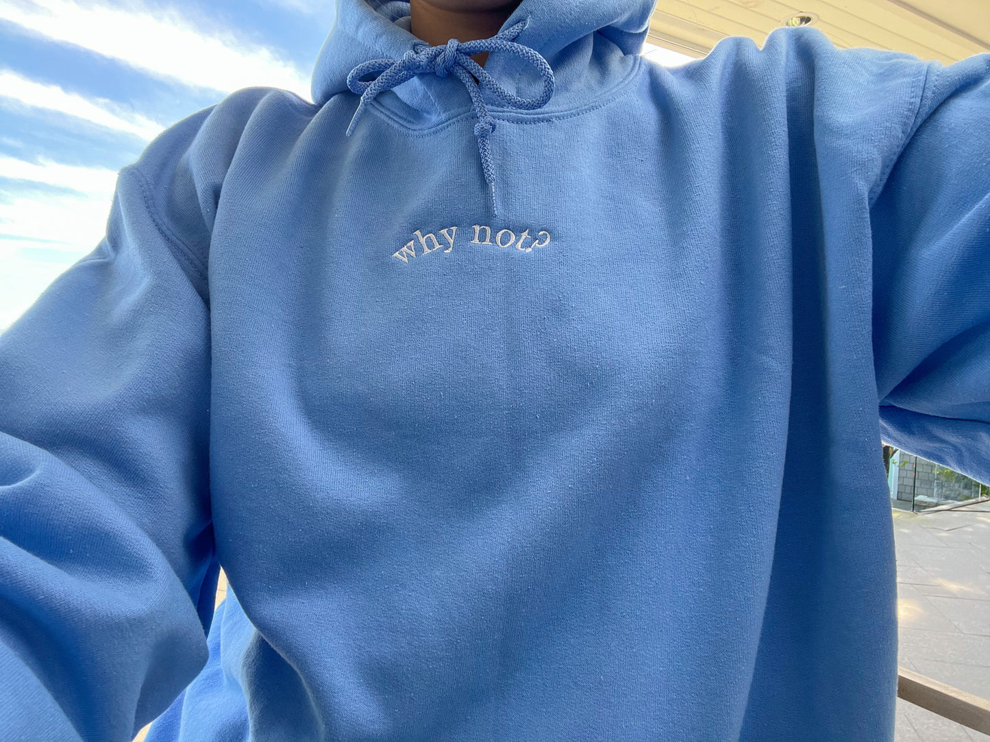 Embroidered Why Not Hoodie